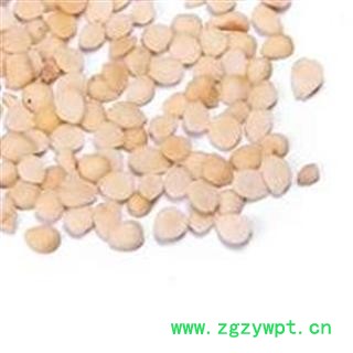 杏仁片1000克促销批发价 杏仁脱皮选货 产地 山西省 大货批发价图2