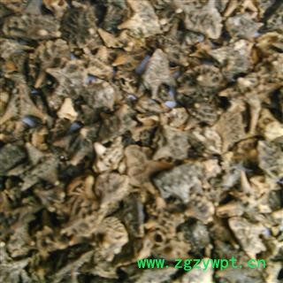 蒺藜 大统1000克促销批发 产地 内蒙古自治区乌海市海勃湾区 大货批发价图2