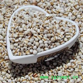 薏苡仁 国产薏苡仁98米1000克促销批发 产地 贵州省图4