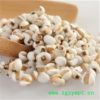 薏苡仁 国产薏苡仁98米1000克促销批发 产地 贵州省图3