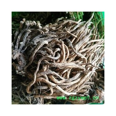 藜芦 统货 产地 辽宁省