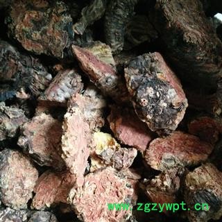 红景天 选货 产地 西藏自治区图4