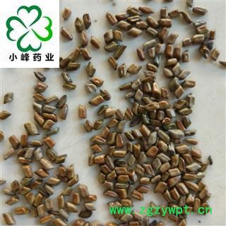 决明子 草决明 新货 选货 产地直销 无虫蛀 产地 山东省图2