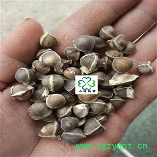 辣木籽 印度辣木籽 选 纯干 新货 小峰药业 重在品质 产地 海外图2