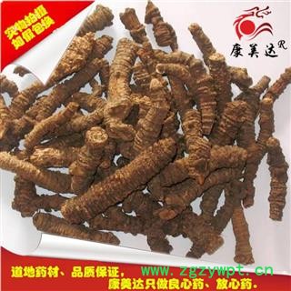 羌活 选 个子 产地 四川省阿坝藏族羌族自治州阿坝县图3