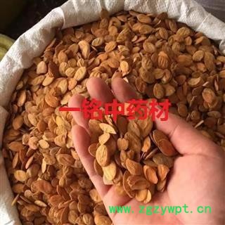 家桃仁 扁桃仁统货 产地 山东省图2