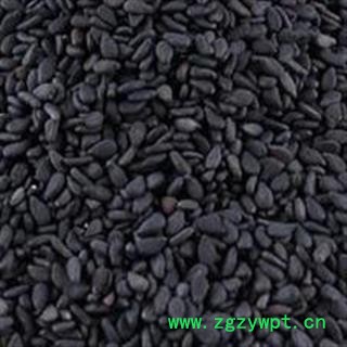 黑芝麻 选货 产地 山东省图4