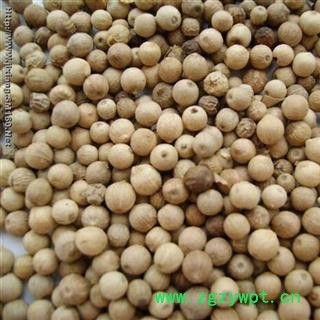 白胡椒 地道好货 今年新货 无虫蛀无霉变 味道浓郁  产地 广西壮族自治区桂林市图2