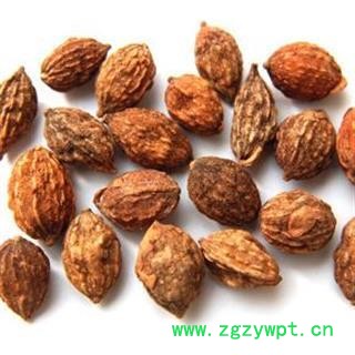 益智仁 益智仁 新货上市 好货 无硫 颗粒饱满 产地 广西壮族自治区桂林市图2