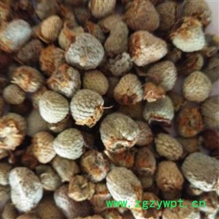 覆盆子 覆盆子  浙江货 产地直销 批发各种中药材  产地 浙江省杭州市上城区图3