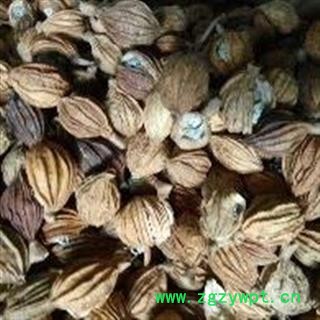 香砂 选货 无硫新货 颜色好 产地 福建省莆田市图2