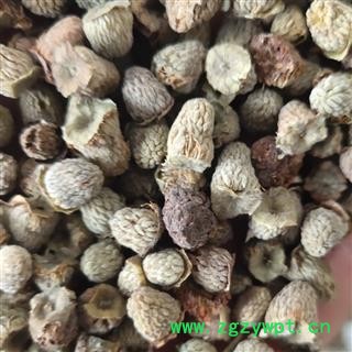 覆盆子  小覆盆子  中货 产地 四川省成都市图3