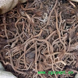 白头翁 白头翁个 产地 辽宁省图2