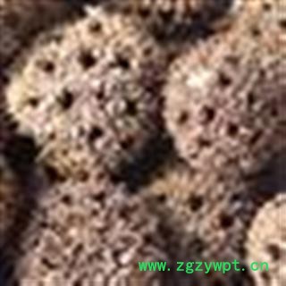 路路通 路路通选货3.0 去刺 选 产地 四川省乐山市图3