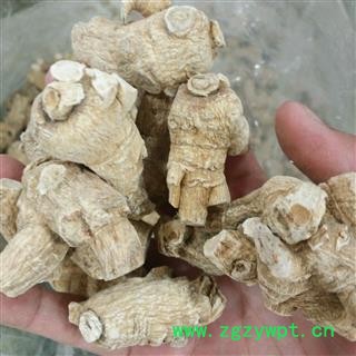 西洋参 西洋参粒头10-20g 花旗参 白参 人参 产地 海外图3