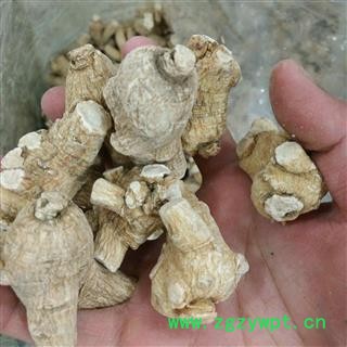 西洋参 西洋参粒头10-20g 花旗参 白参 人参 产地 海外图2