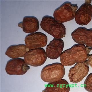 红豆蔻 红豆蔻统货 产地 广西壮族自治区图2