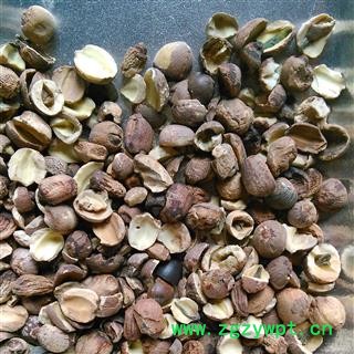 莲子 红莲子碎片 产地 湖南省图3