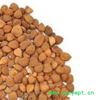 杏仁 1000克促销批发价苦杏仁选货 产地 山西省 大货批发价图2