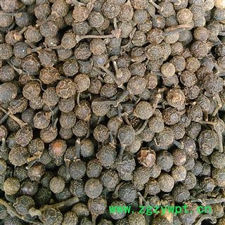 荜澄茄 荜澄茄统货 产地 四川省图3