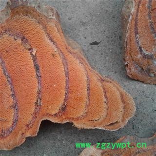 鸡血藤 国产货 产地 云南省图2