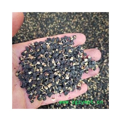 黑枸杞 青海野生黑枸杞小粒 产地 青海省海东市