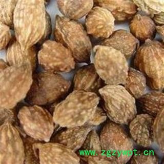 益智仁 益智选货大货批发价 产地 广西壮族自治区图2