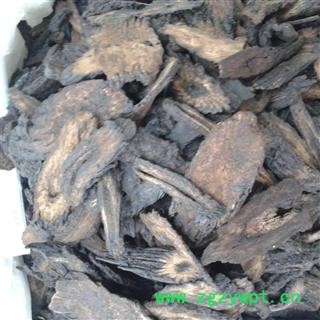 肉苁蓉 软质选货 大云 大芸 肉质货 无芦头 产地 新疆维吾尔自治区图2