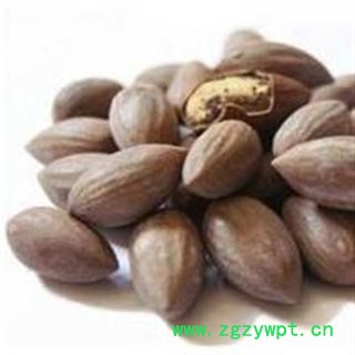 榧子 选装 产地 浙江省图2