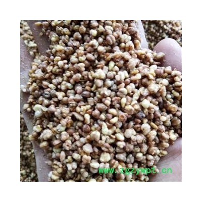 苦荞茶 黑苦荞 苦荞头 泡茶用苦荞 产地 安徽省