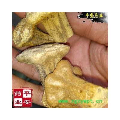 南瓜蒂 南瓜柄 正品 南瓜蒂