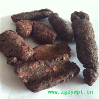 紫草茸 选 产地 云南省图2