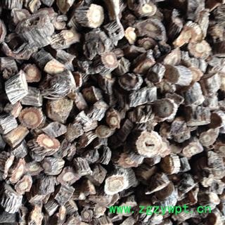 防风 内蒙家种防风  选 产地 内蒙古自治区图2