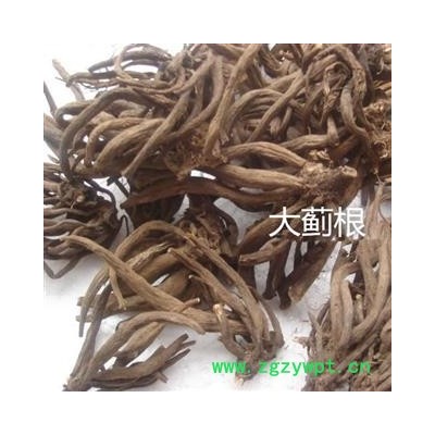 大蓟根 正品大蓟根 野芥菜根 统 产地 河南省