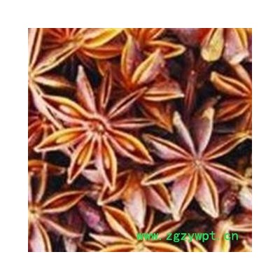 八角 八角 大茴香 产地 广西壮族自治区