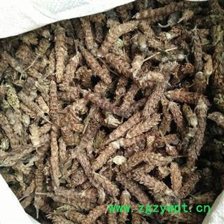 夏枯球 净货  大球 新货  无虫蛀 无柄杆 产地 河南省焦作市图4