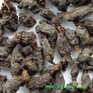 天葵子 天葵子统货  无杂质 无虫蛀  产地 安徽省淮南市图2