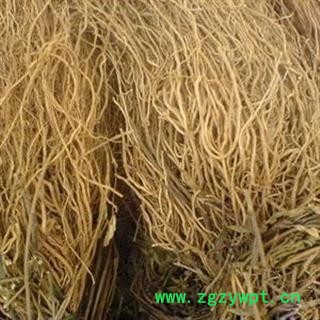 徐长卿 统货 产地 山东省 凯捷中药图4