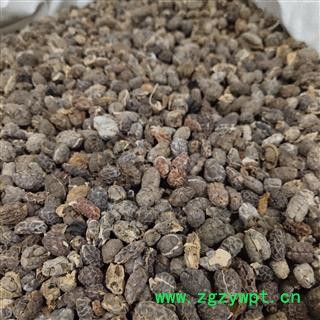 砂仁 砂仁米 进口 统  批发各种中药材 中草药 产地 海南省海口市市辖区图3