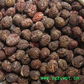 砂仁 砂仁米 进口 统  批发各种中药材 中草药 产地 海南省海口市市辖区图2