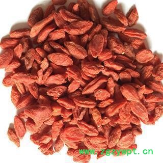 枸杞   新货 青海枸杞280粒  产地 青海省图2