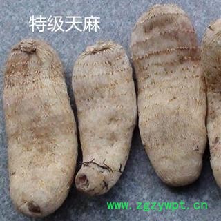 天麻 无硫特级天麻 产地 安徽省图3