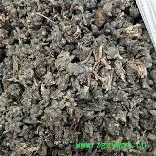 猫爪草 野生猫爪草 统货 产地 安徽省滁州市图2