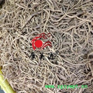 远志 全抽芯 产地 山西省图3