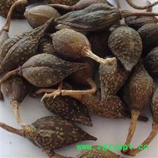 连翘片 青翘生晒统货 1000克促销批发价产地 山西省阳泉市矿区 大货批发价图2