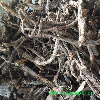 羌活 羌活（药厂货） 产地 四川省图3