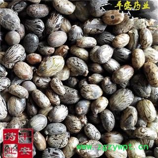 平安药业 蓖麻子 正品 萆麻子 蓖麻仁 大麻子图2