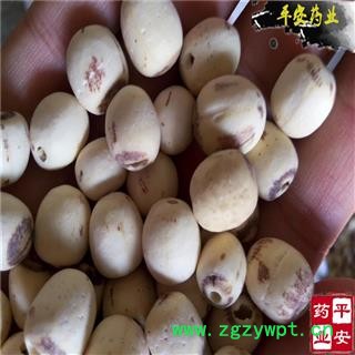白莲子 湖南湖北空心磨皮白莲子98货 产地 湖南省图2