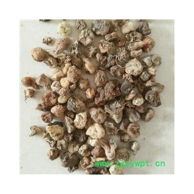 山慈菇 山慈菇原包统货 产地 云南省