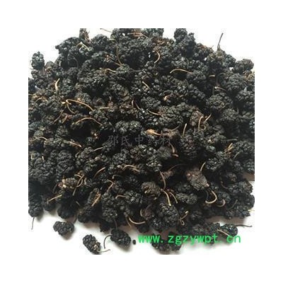 桑葚子 桑椹大选货 茶用 产地 安徽省